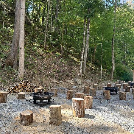 Cozy Cove Retreat W Lake View Hot Tub Firepit Dandridge Eksteriør bilde