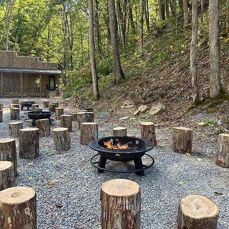 Cozy Cove Retreat W Lake View Hot Tub Firepit Dandridge Eksteriør bilde