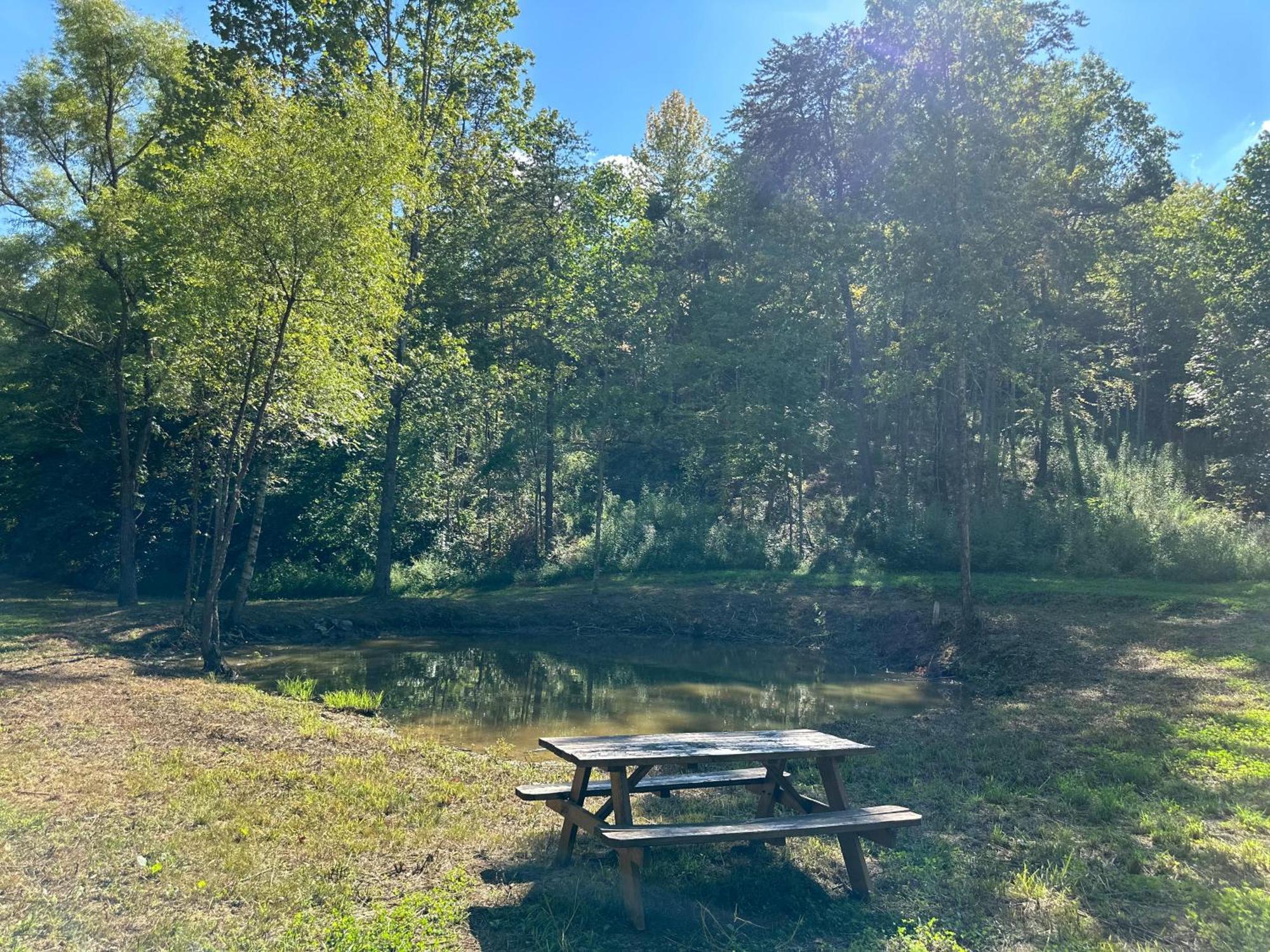 Cozy Cove Retreat W Lake View Hot Tub Firepit Dandridge Eksteriør bilde